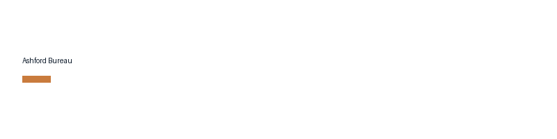 Ashford Bureau logo